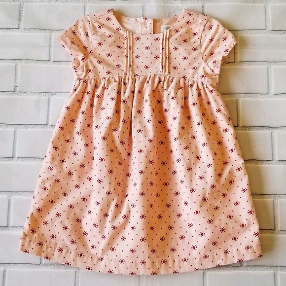 Gymboree Velvety Pink Print Baby Doll Dress 2T